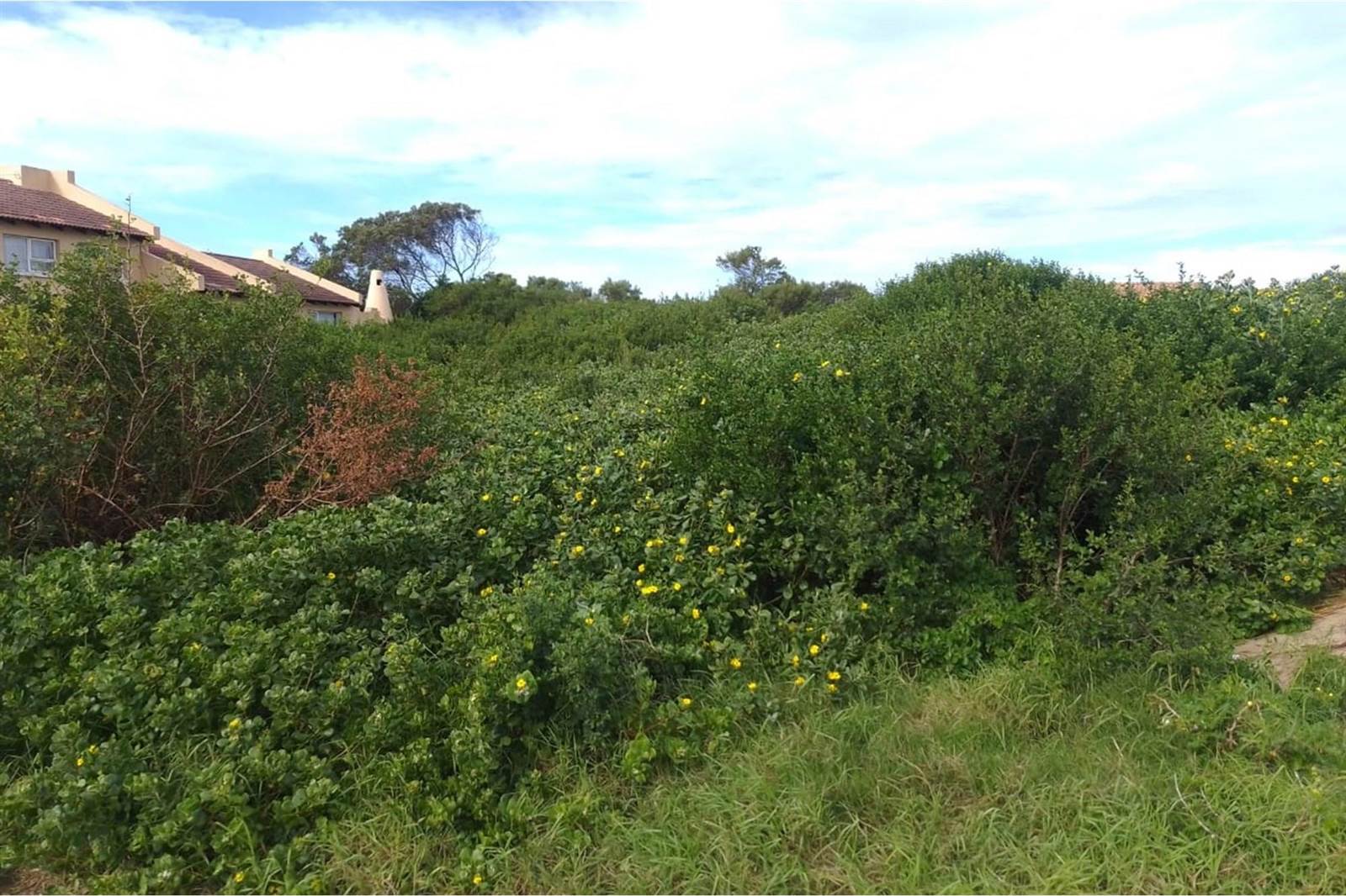 785 m² Land available in St Francis On Sea photo number 3