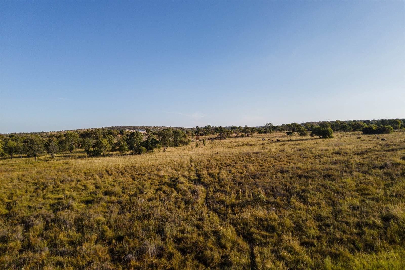 20 ha Land available in Cullinan and Surrounds photo number 14