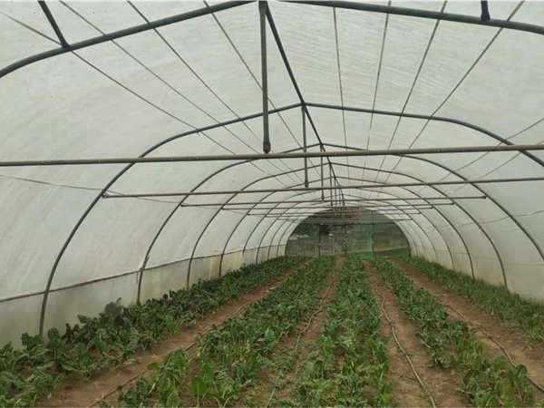 8220 m² Farm in Manderston