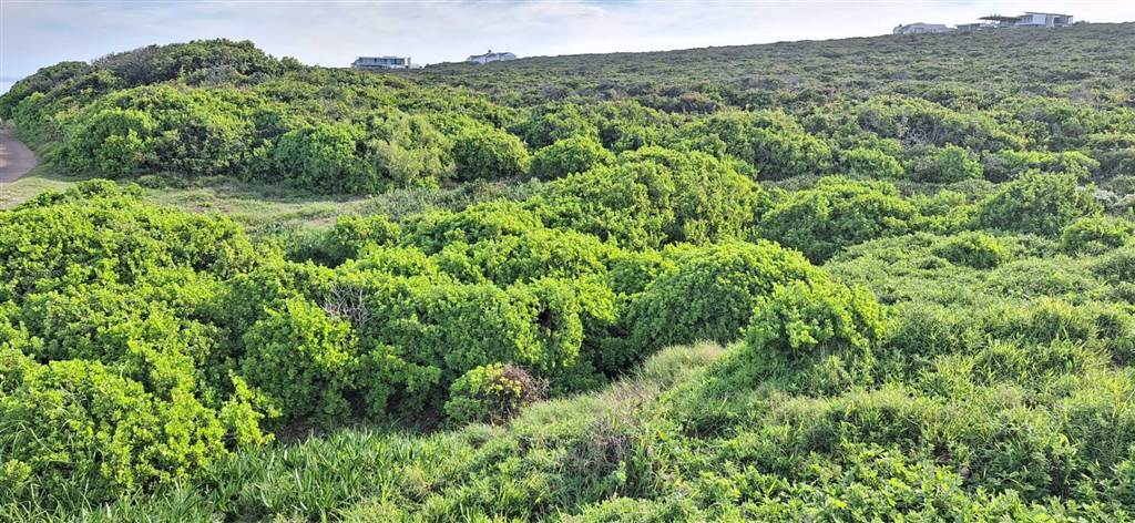 911 m² Land available in Pinnacle Point Golf Estate photo number 11