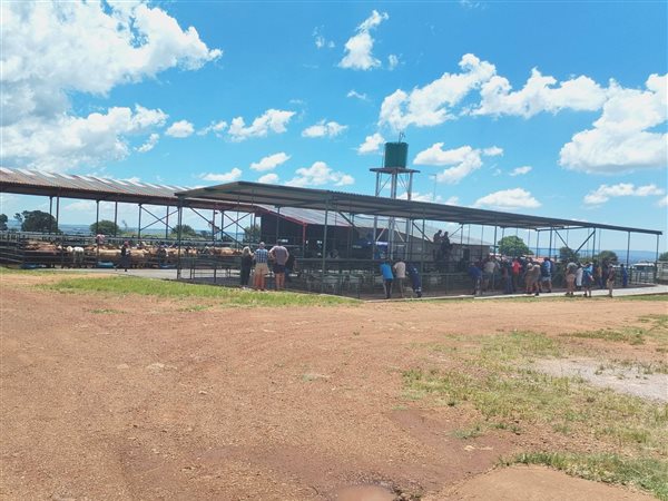 100000  m² Commercial space in Randfontein