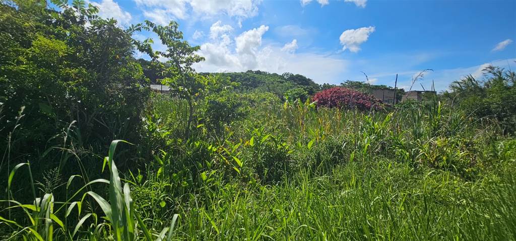 2553 m² Land available in Park Rynie photo number 4