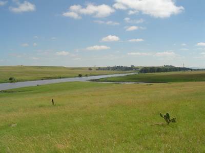 55.8 ha Land available in Villiers photo number 2