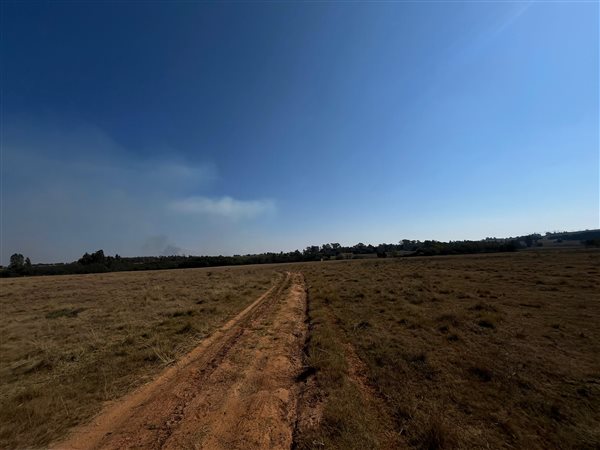 175.3 ha Farm