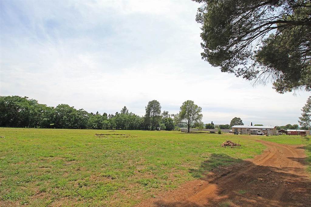 8000 m² Land available in Gerhardsville photo number 4