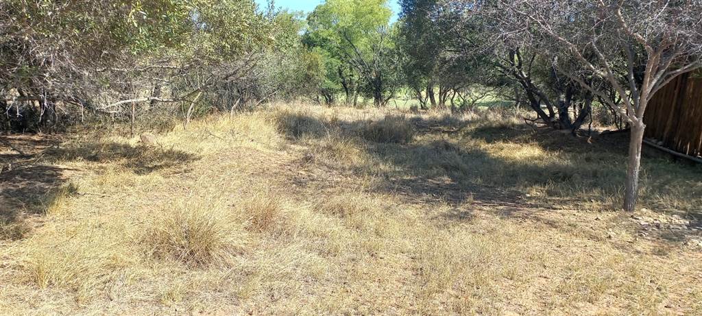 1000 m² Land available in Modimolle photo number 6