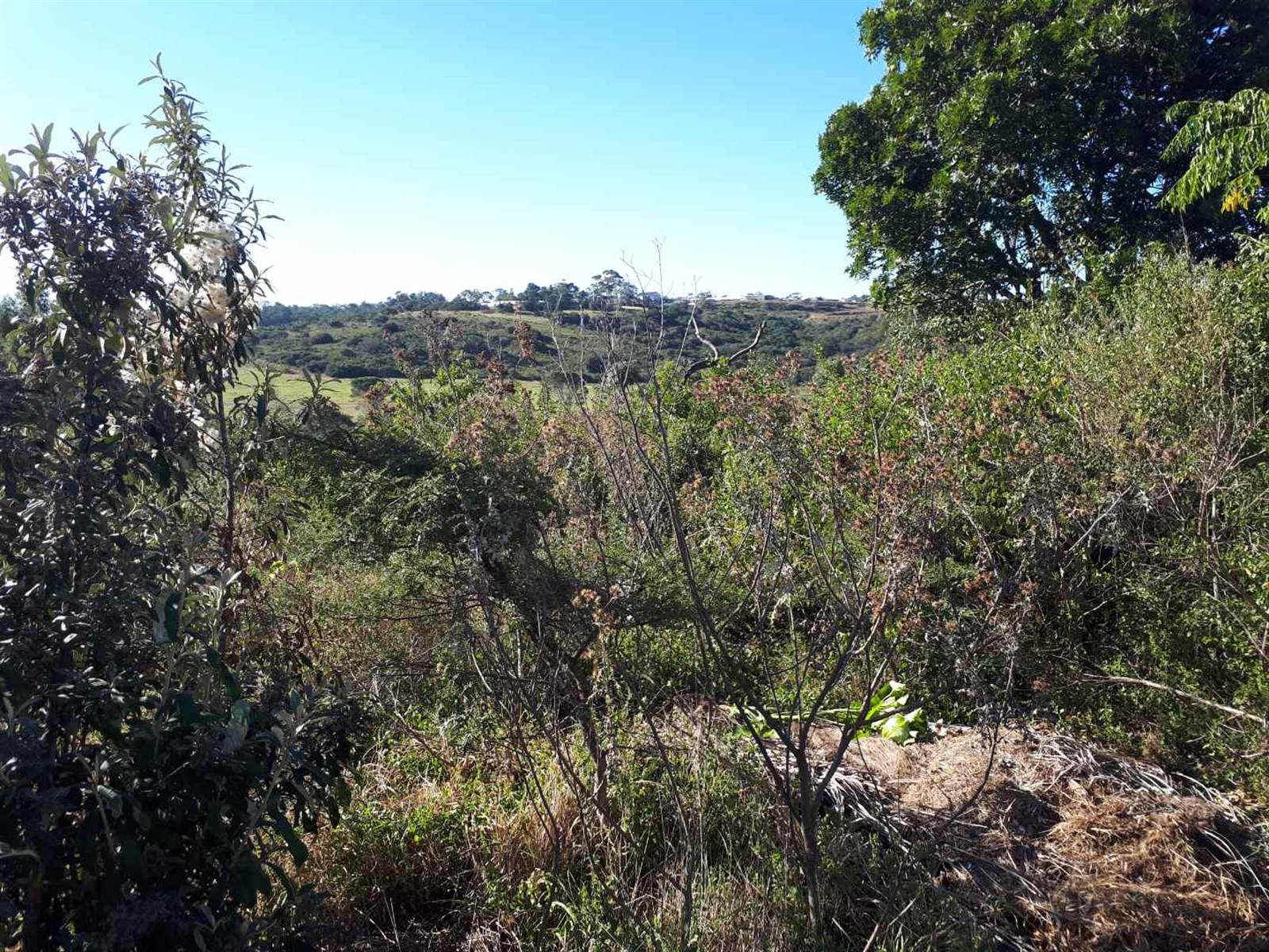 9300 m² Land available in Beacon Bay photo number 4