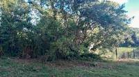 1316 m² Land available in Pennington photo number 2