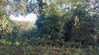 1316 m² Land available in Pennington photo number 3