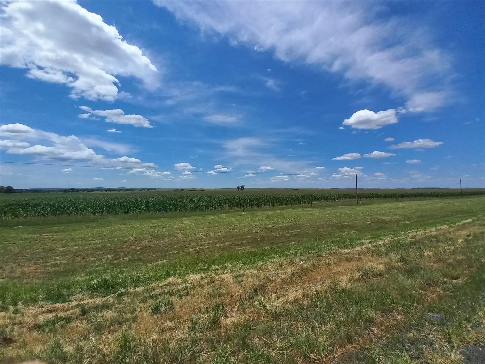 1041 ha Land available in Bloemfontein photo number 11
