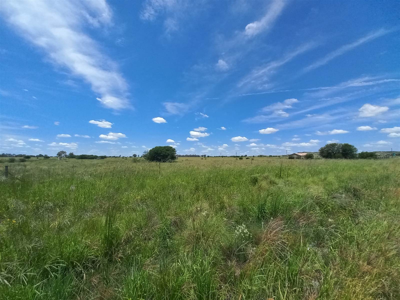 1041 ha Land available in Bloemfontein photo number 7