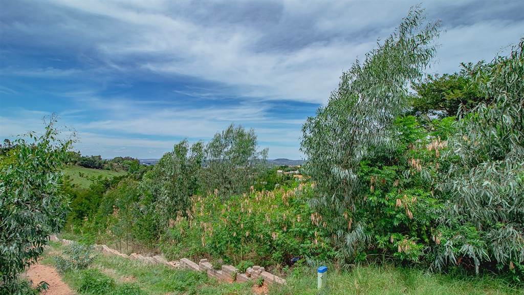 1981 m² Land available in Waterkloof Heights photo number 4