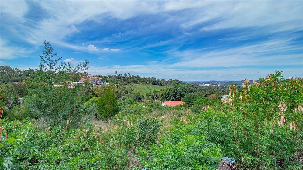 1981 m² Land available in Waterkloof Heights photo number 5