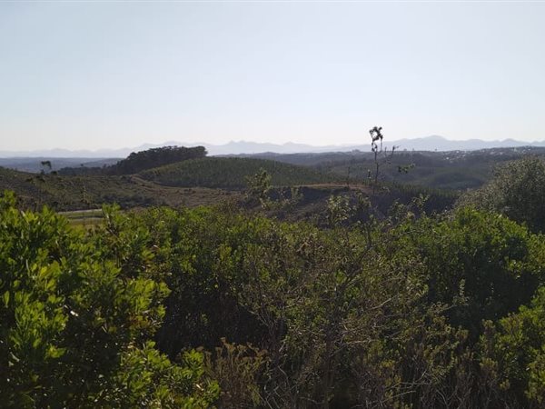 4272 m² Land available in Pezula Private Estate