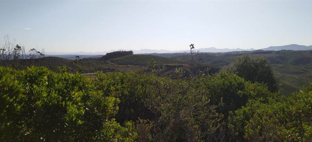4272 m² Land available in Pezula Private Estate photo number 1