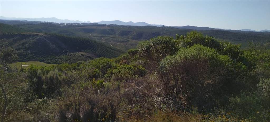 4272 m² Land available in Pezula Private Estate photo number 6