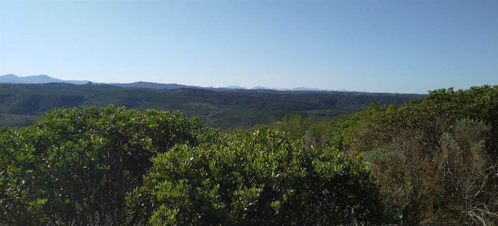 4272 m² Land available in Pezula Private Estate photo number 2