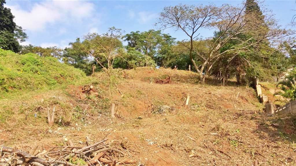 1060 m² Land available in Pennington photo number 4