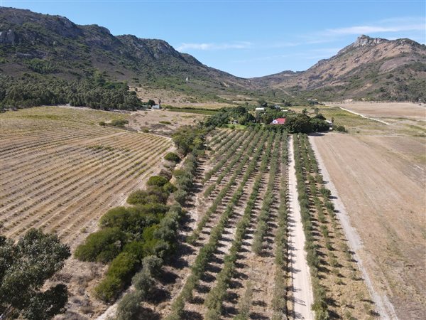 317 ha Farm with House 317 ha Farm with House