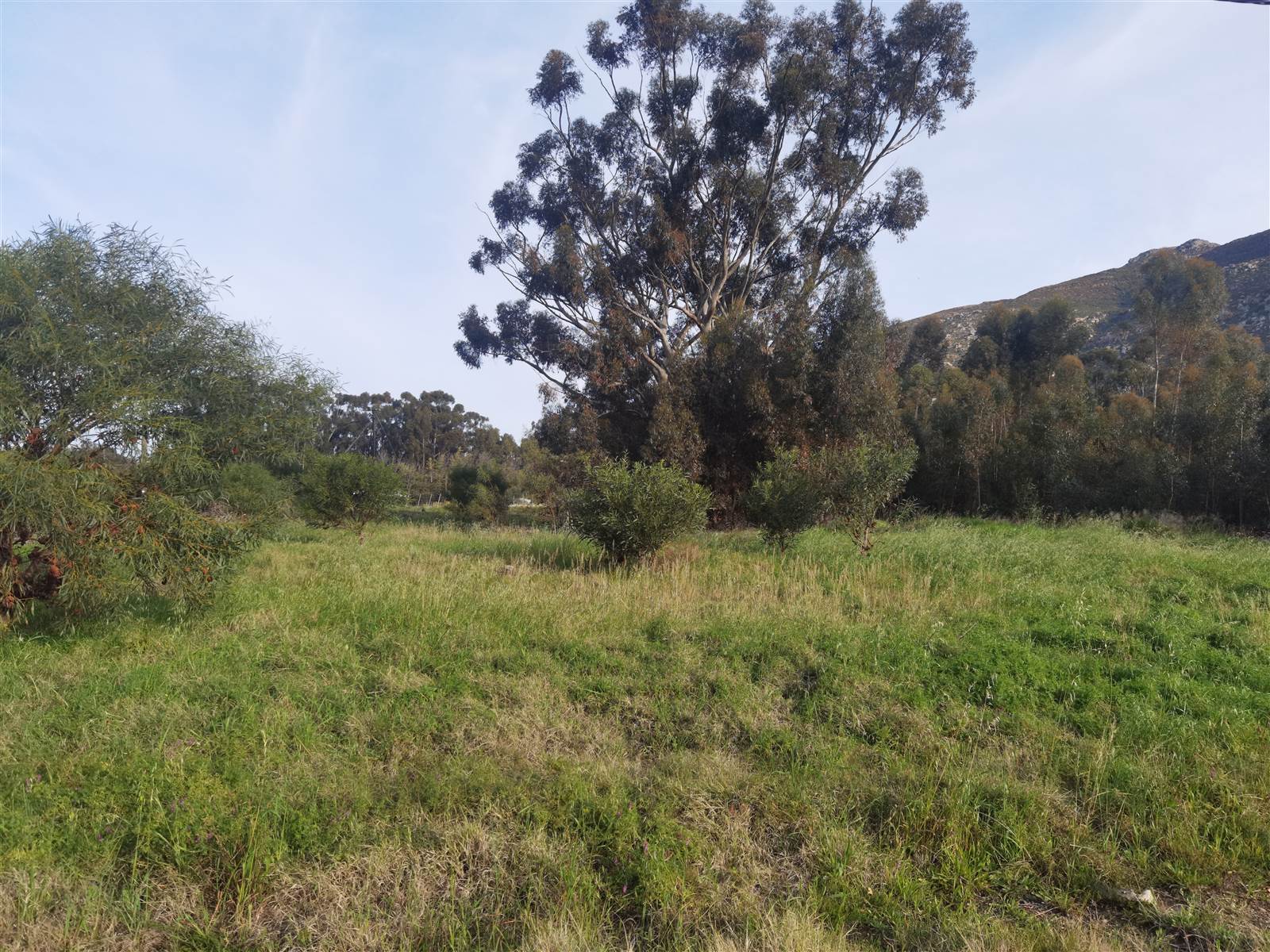 3463 m² Land available in Tulbagh photo number 1