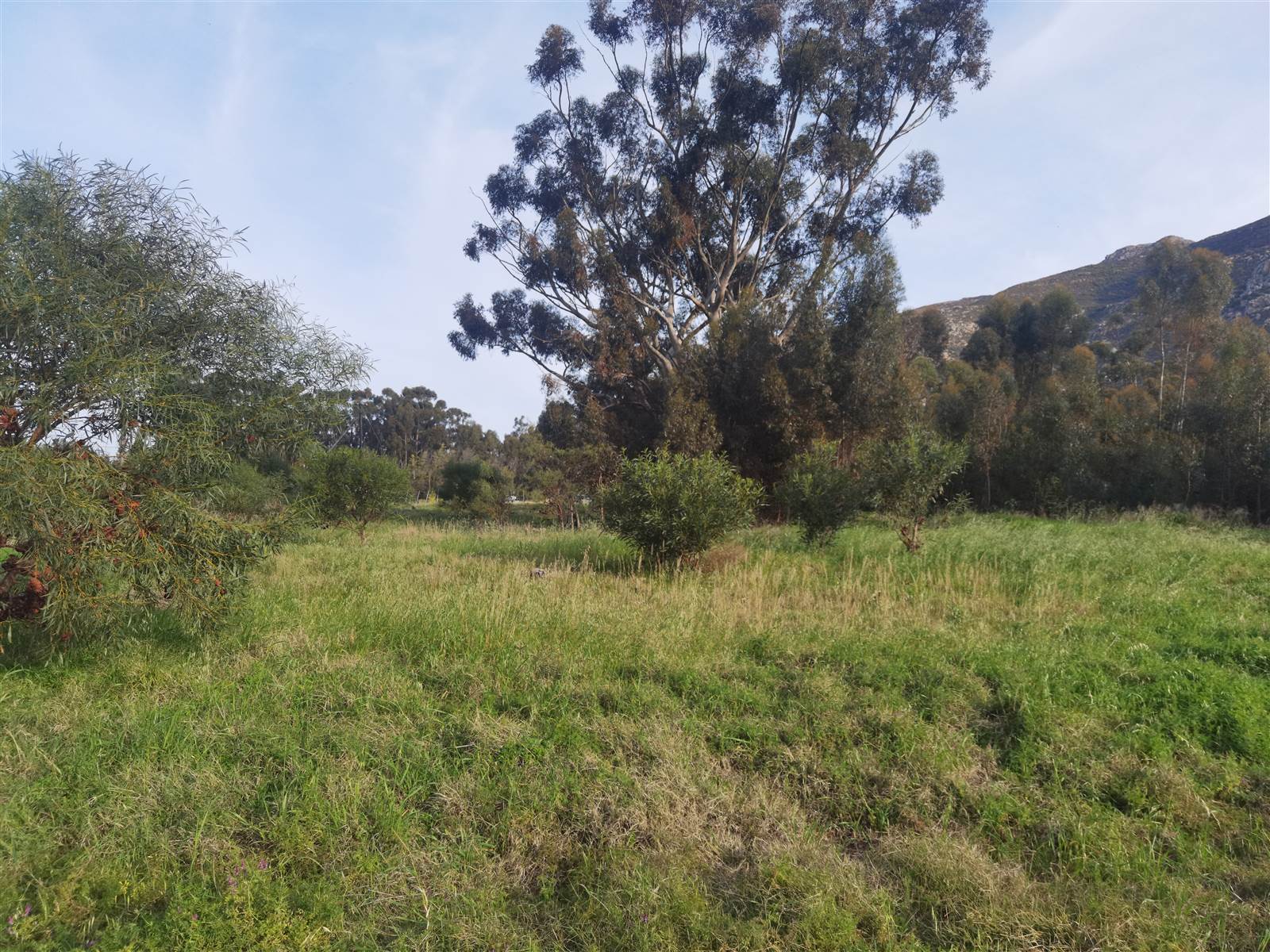 3463 m² Land available in Tulbagh photo number 7