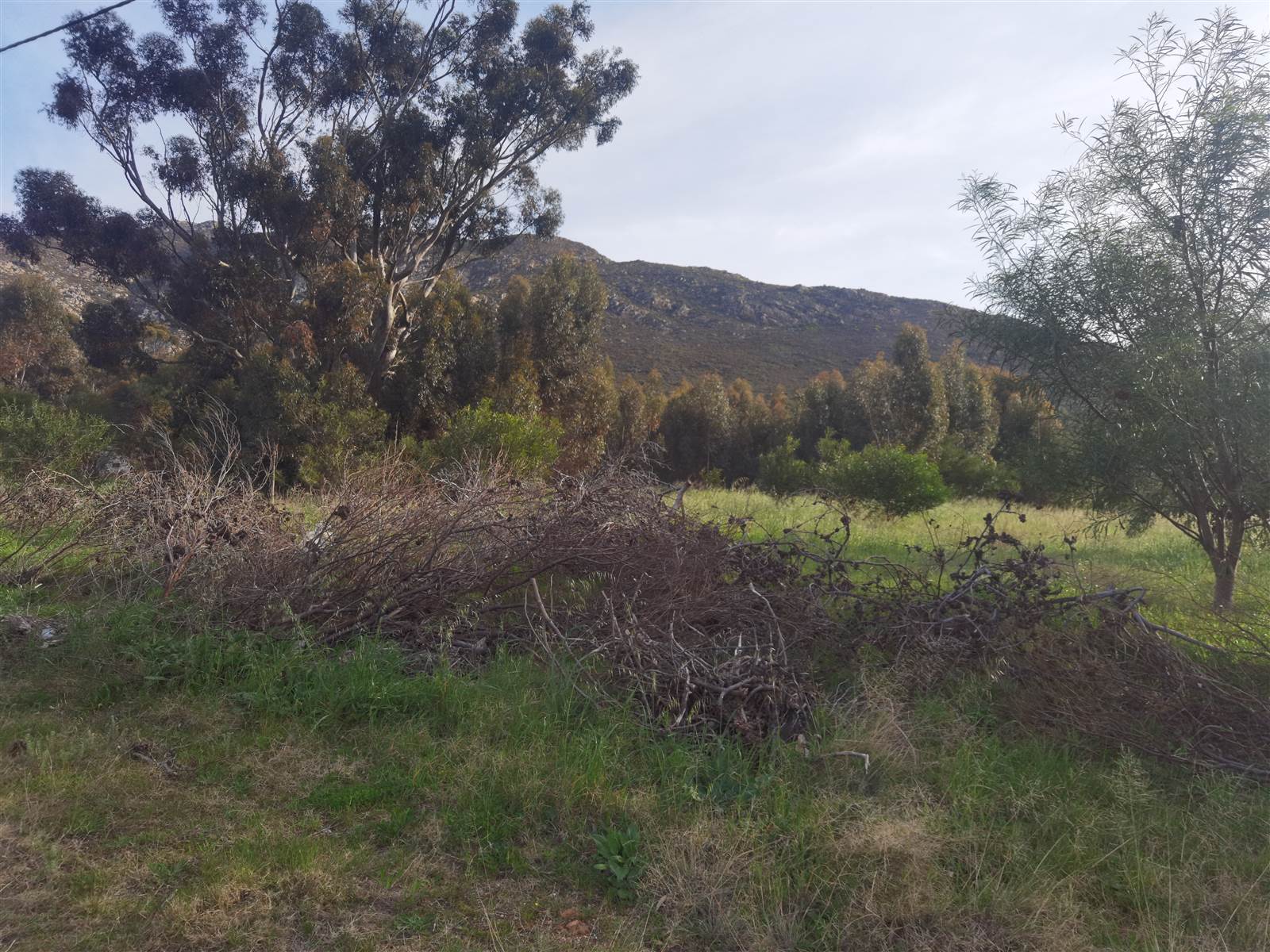 3463 m² Land available in Tulbagh photo number 5