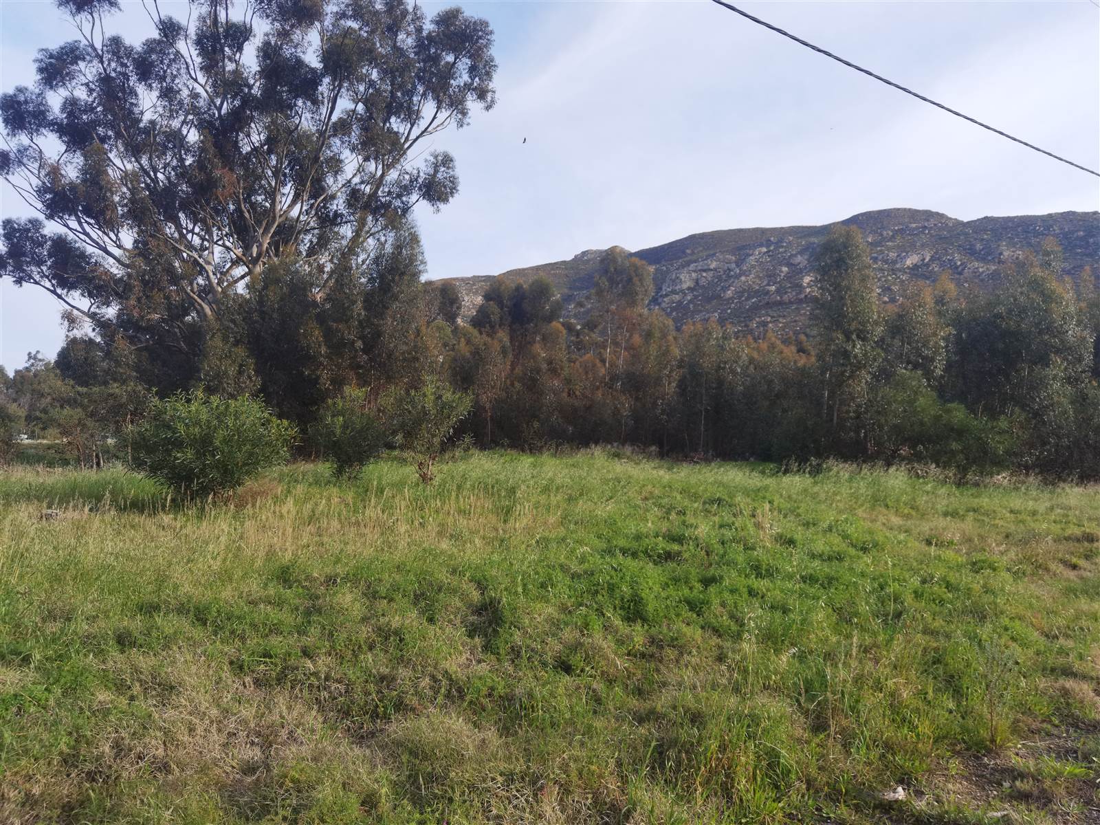 3463 m² Land available in Tulbagh photo number 6