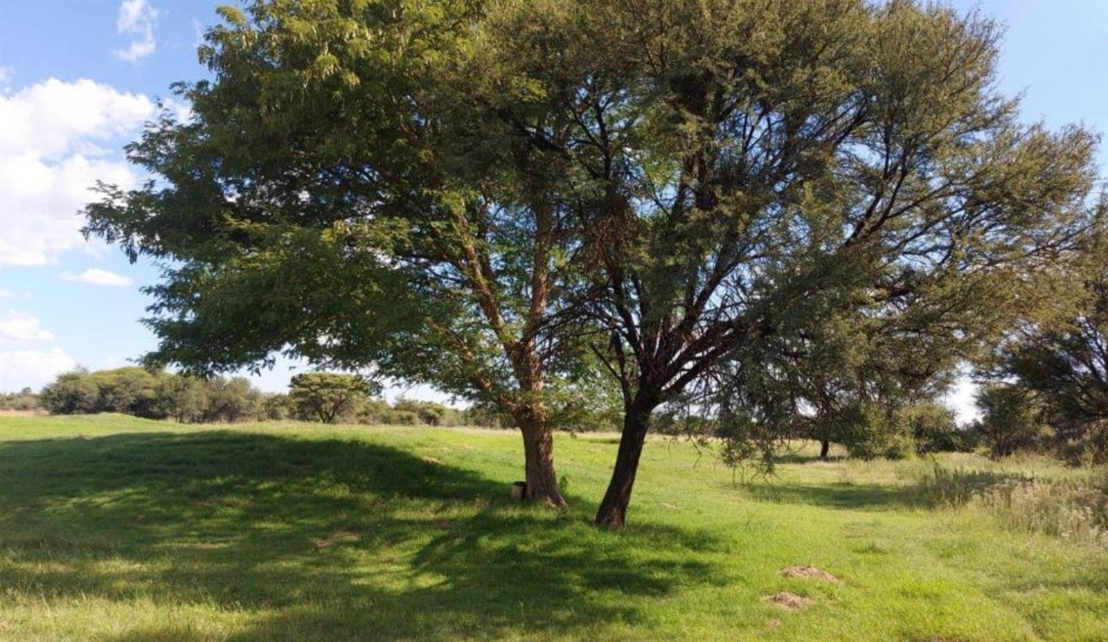 1132 m² Land available in Mmabatho photo number 8