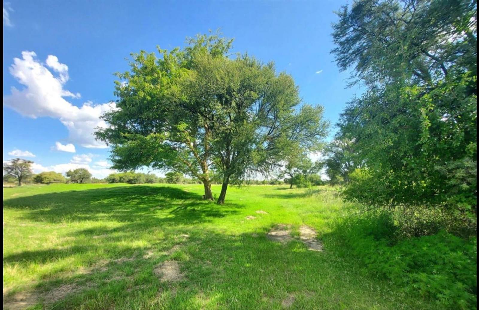 1132 m² Land available in Mmabatho photo number 7