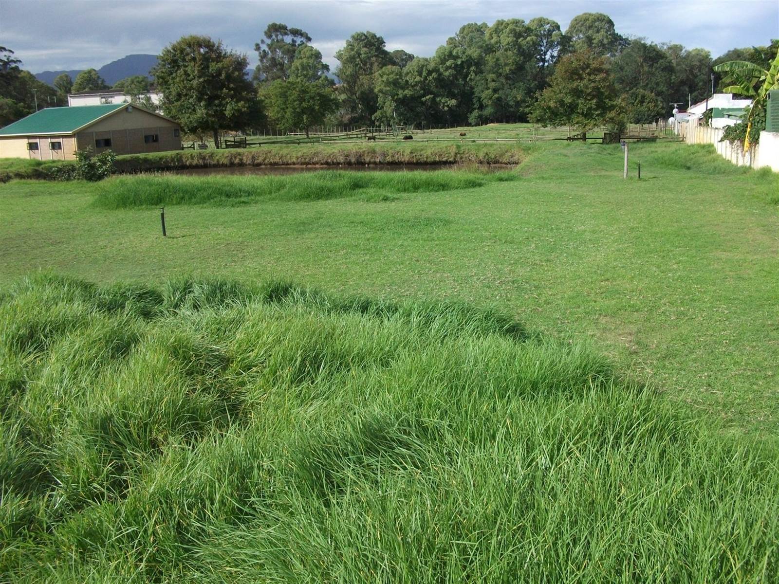 1 ha Land available in Riversdale photo number 4