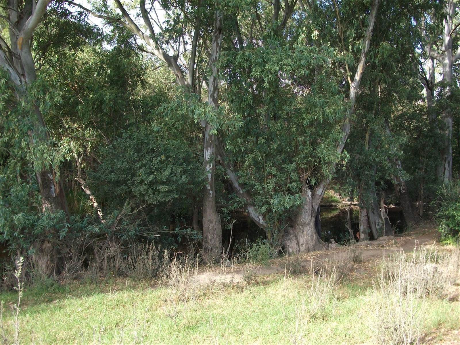 1 ha Land available in Riversdale photo number 2