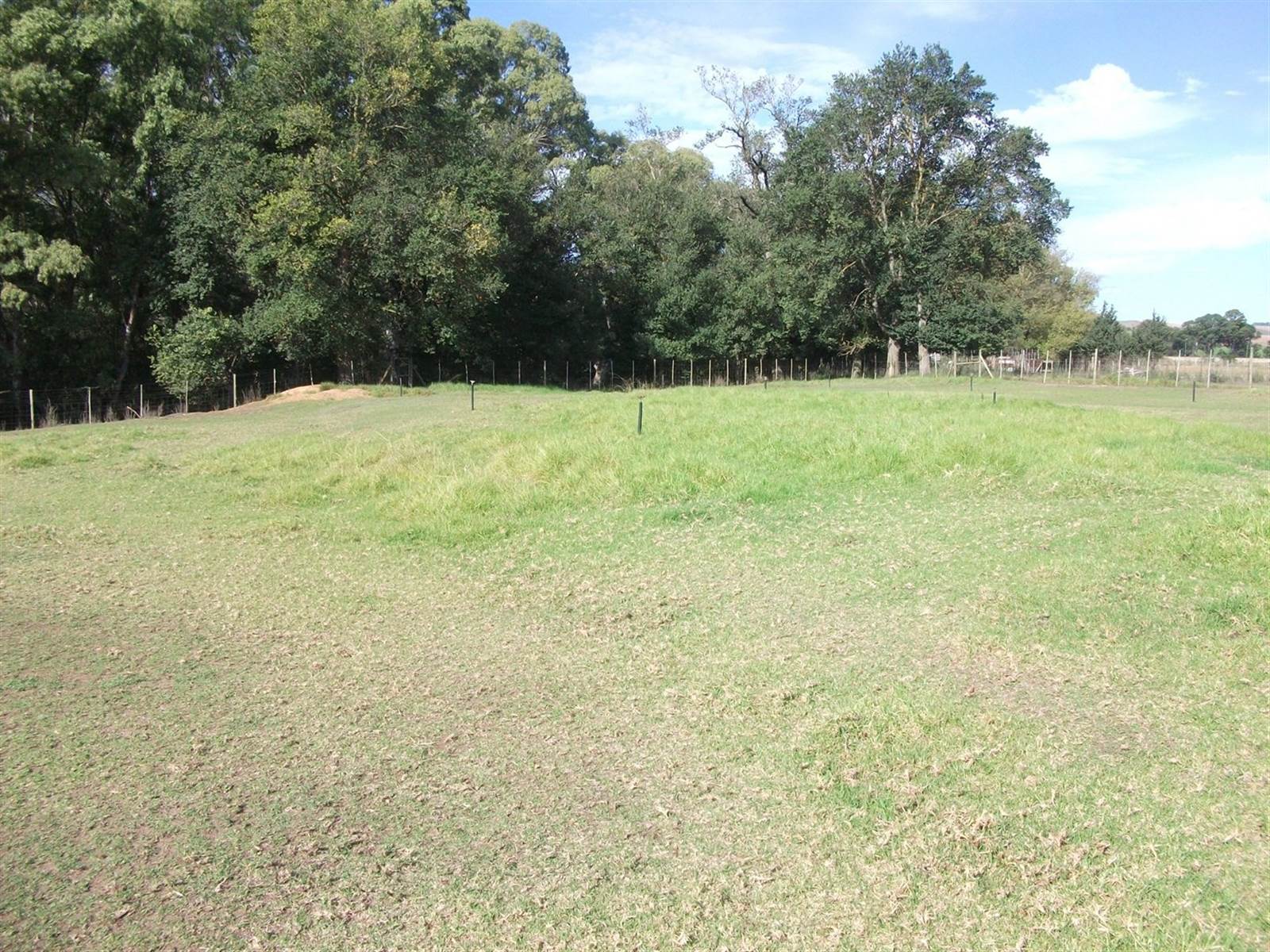 1 ha Land available in Riversdale photo number 3