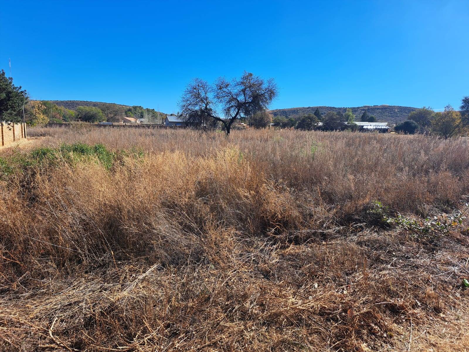 1573 m² Land available in Hartbeesfontein photo number 3