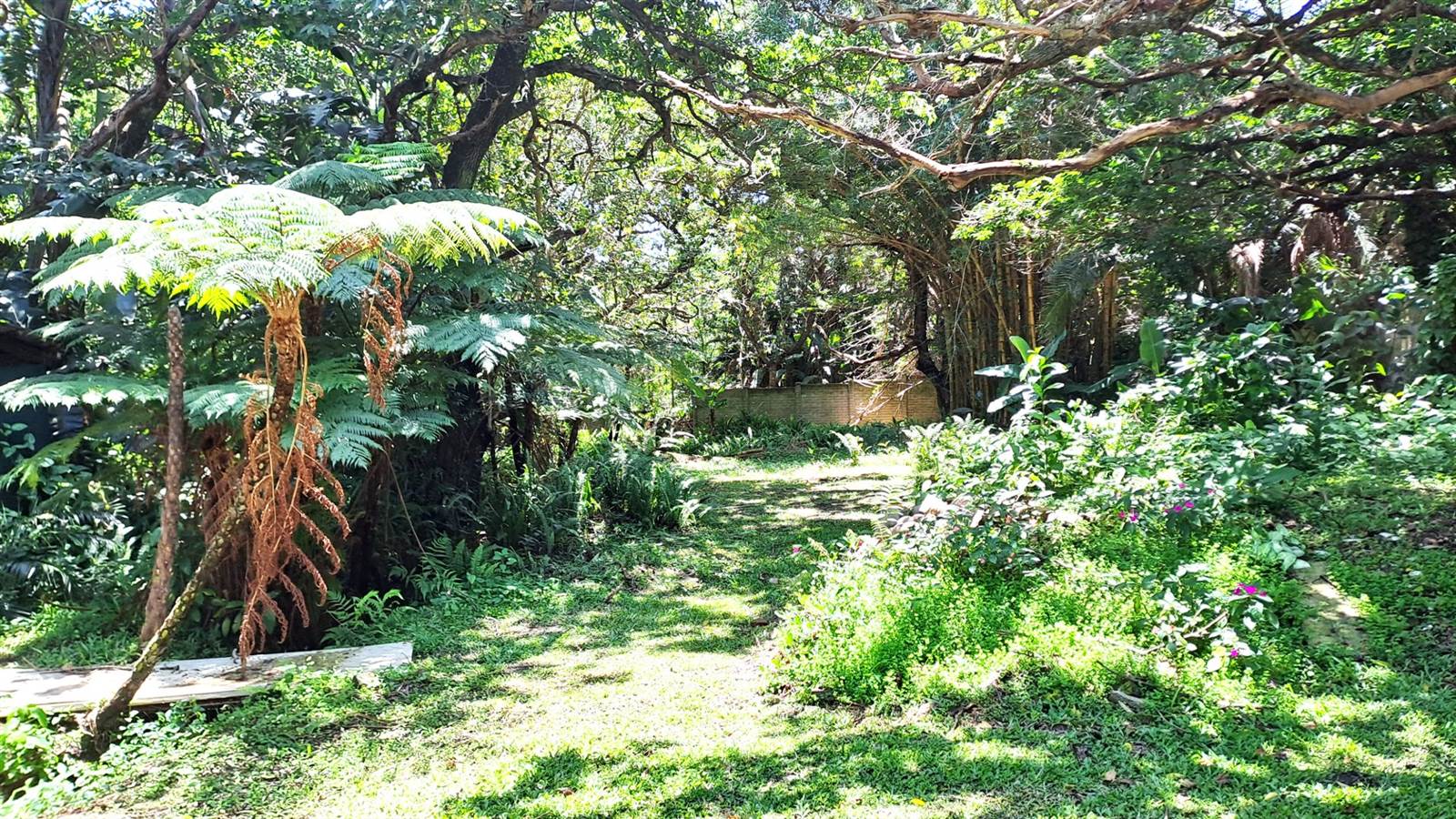 1016 m² Land available in Leisure Bay photo number 3
