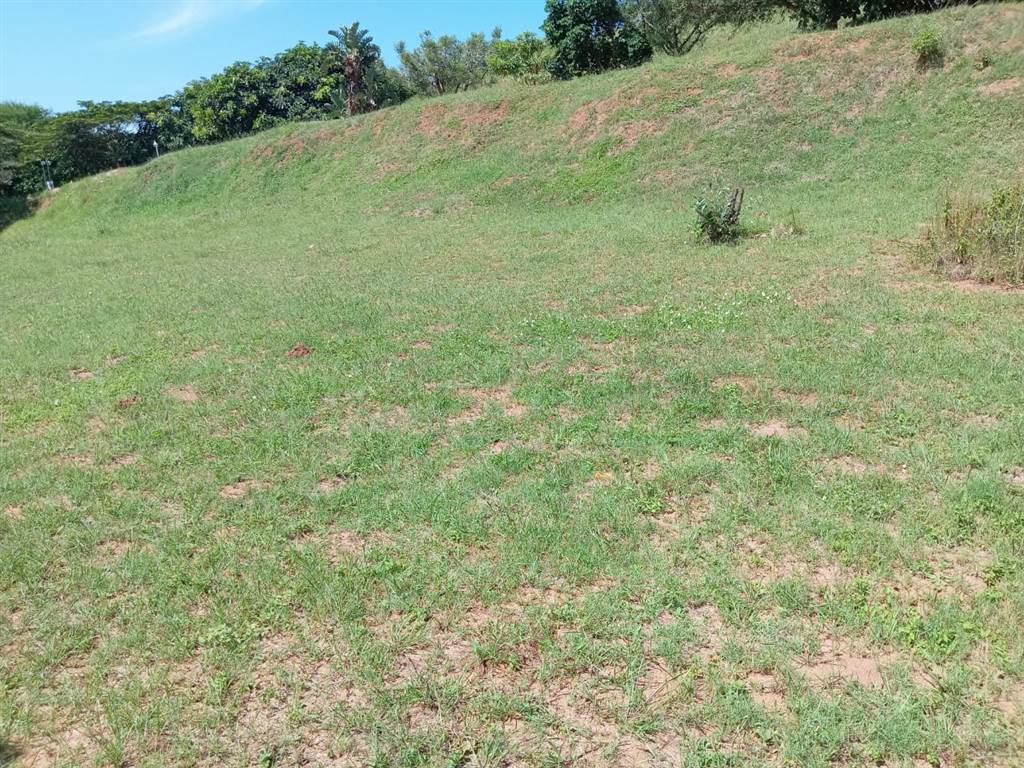 564 m² Land available in Illovo Beach photo number 18
