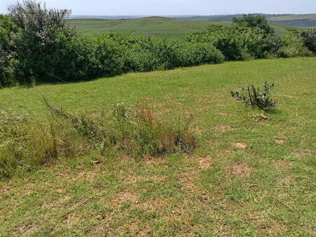564 m² Land available in Illovo Beach photo number 14