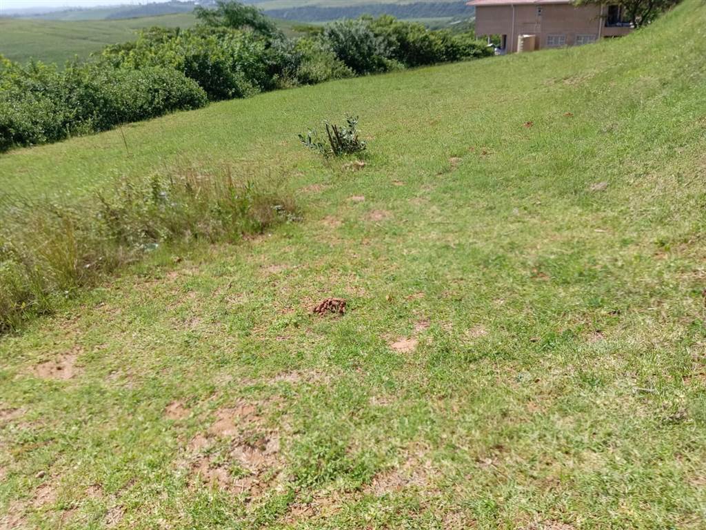 564 m² Land available in Illovo Beach photo number 9