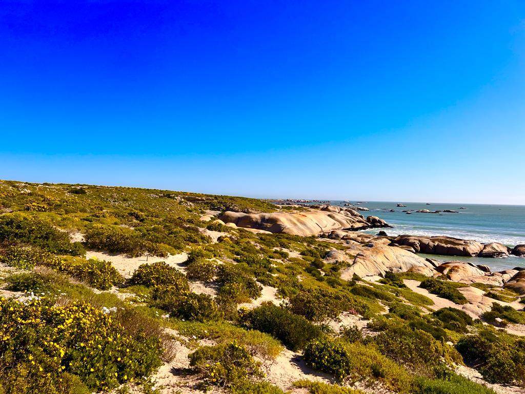 487 m² Land available in Paternoster photo number 11