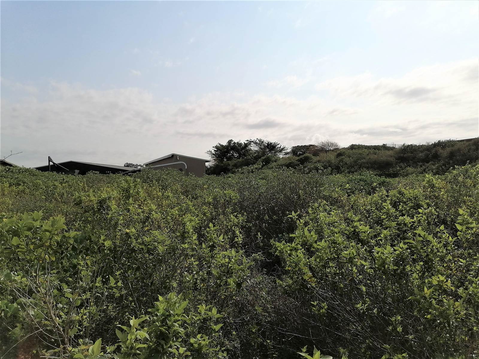 3629 m² Land available in Ballito photo number 4