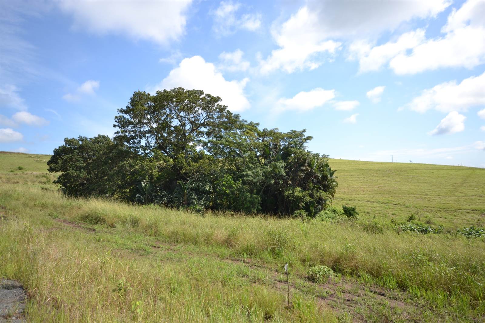2055 m² Land available in Springvale Country Estate photo number 7