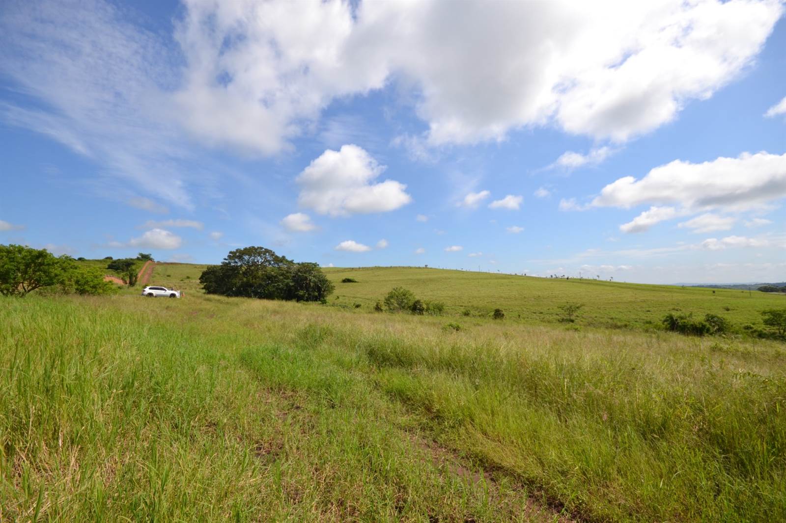 2055 m² Land available in Springvale Country Estate photo number 14