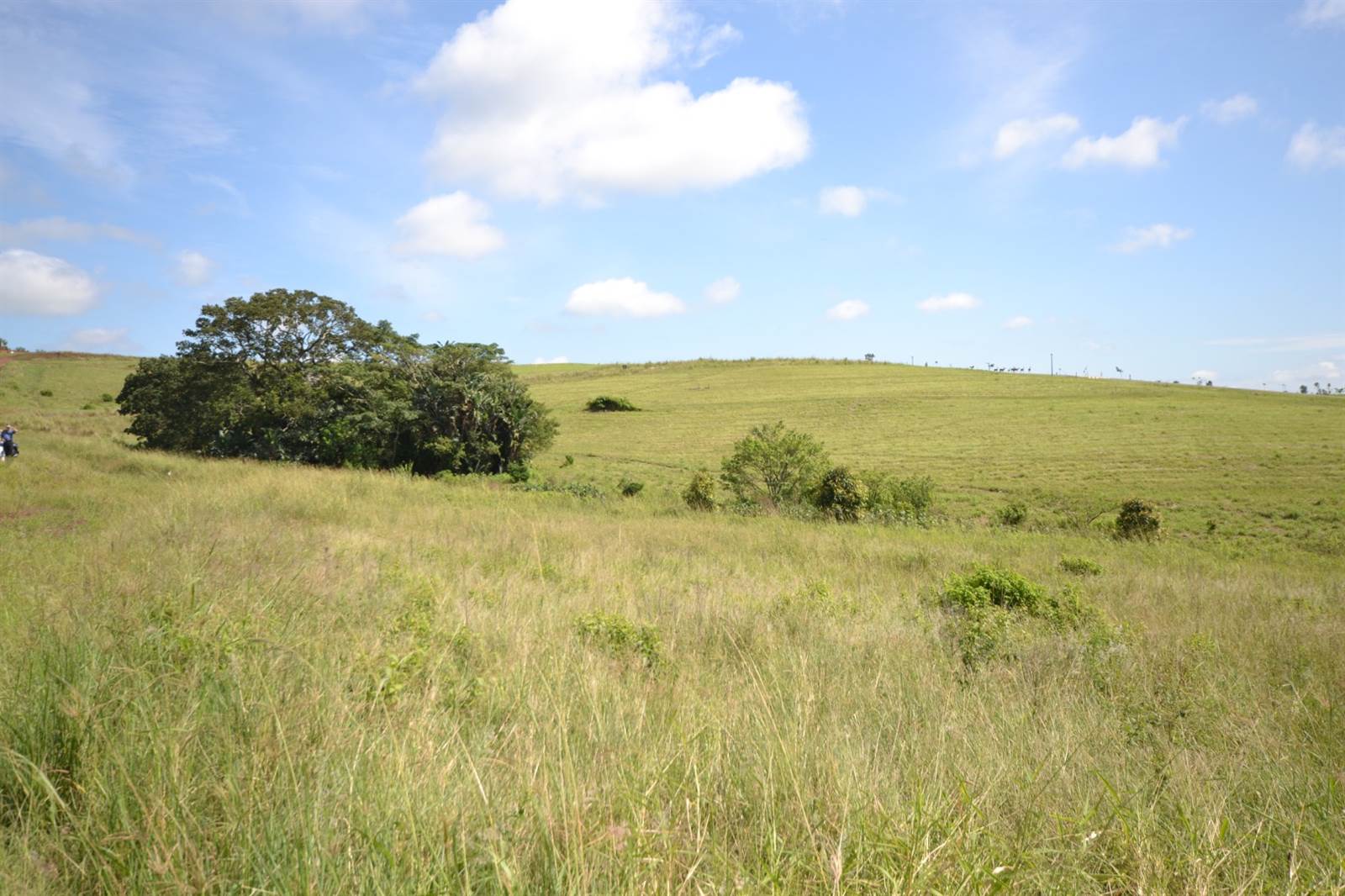 2055 m² Land available in Springvale Country Estate photo number 18