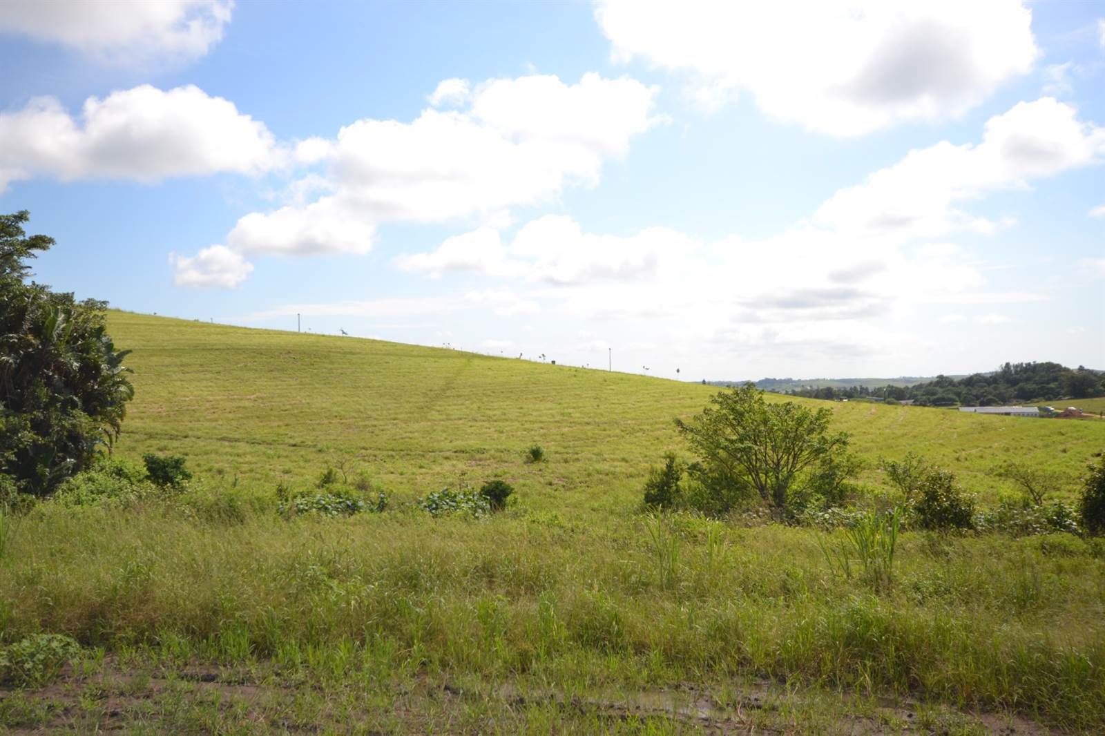 2055 m² Land available in Springvale Country Estate photo number 21