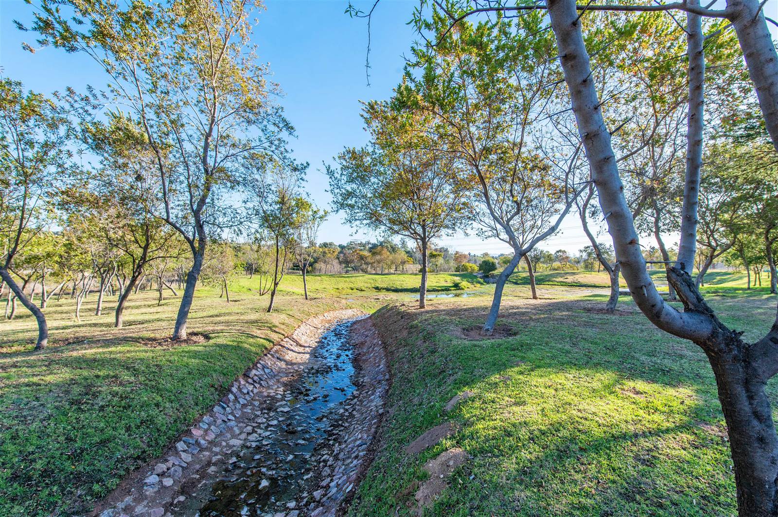 5036 m² Land available in Blue Hills Equestrian Estate photo number 13