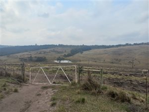 16.5 ha Farm in Port Shepstone