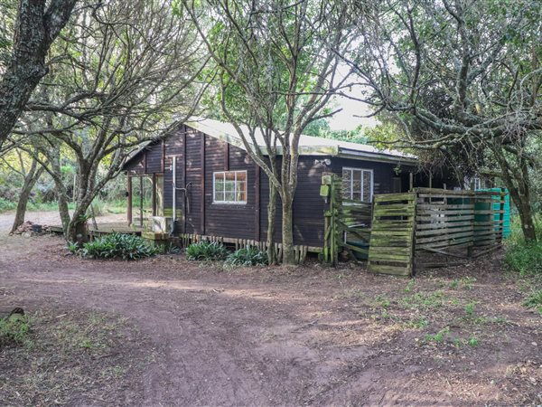 4.9 ha Smallholding