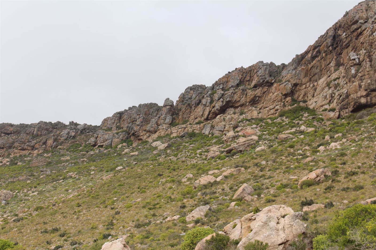 13.2 ha Land available in Elands Bay photo number 10