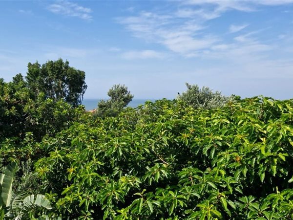 1 002 m² Land 1 002 m² Land