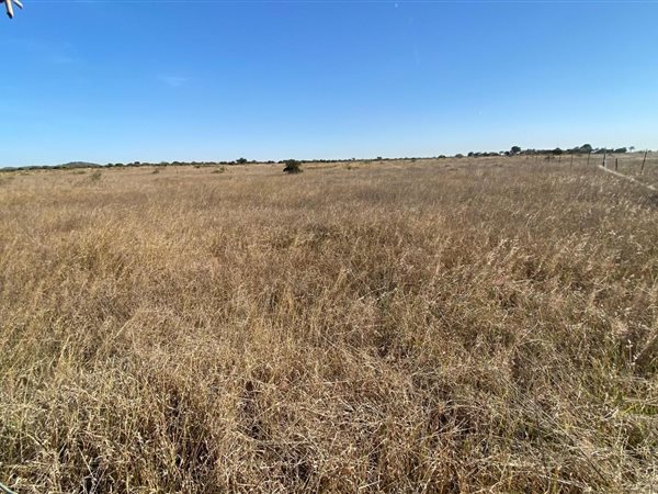 8 ha Farm 8 ha Farm