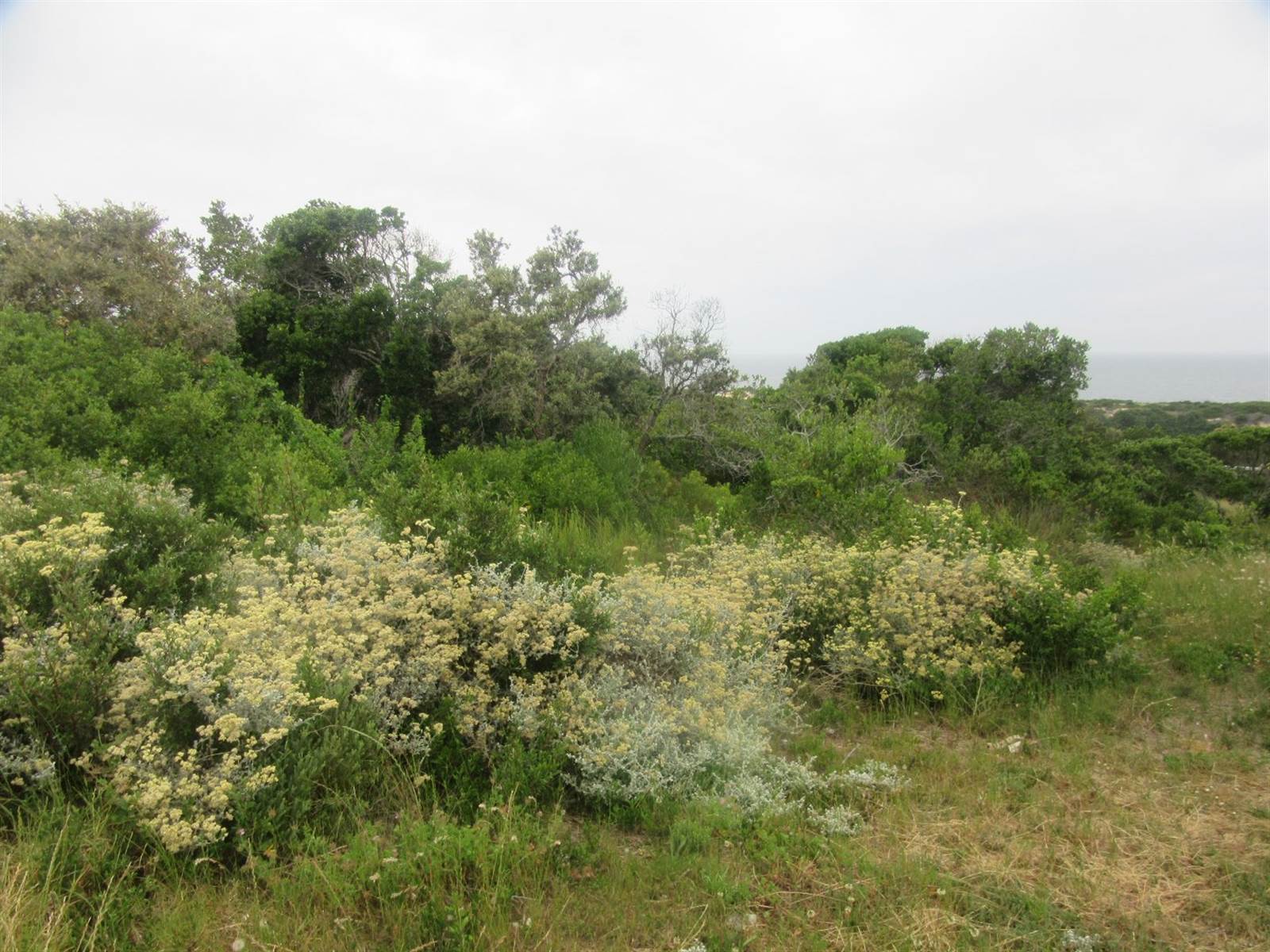 1309 m² Land available in Great Brak River photo number 4